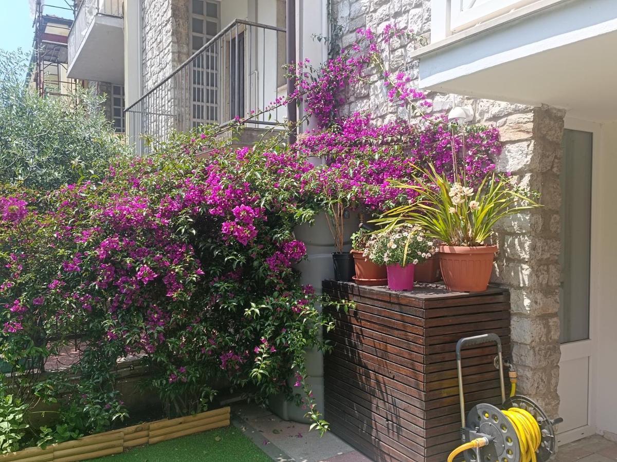 Il Don Minzoni 98 "Casa Vacanze" Lido di Camaiore Exterior photo