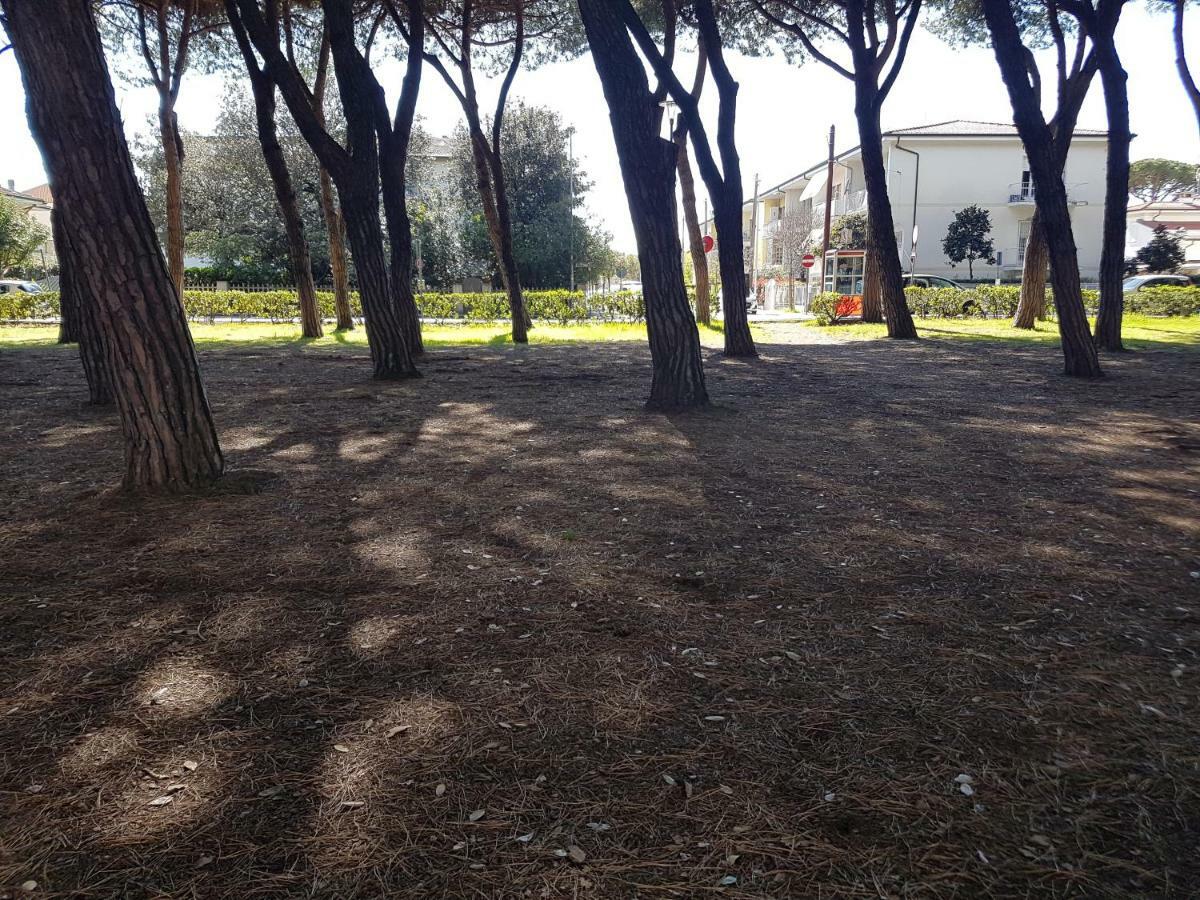 Il Don Minzoni 98 "Casa Vacanze" Lido di Camaiore Exterior photo
